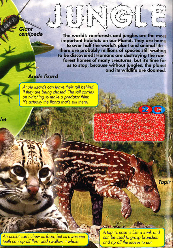 2C:Awesome Animals - BBW BOOKS SINGAPORE PTE LTD